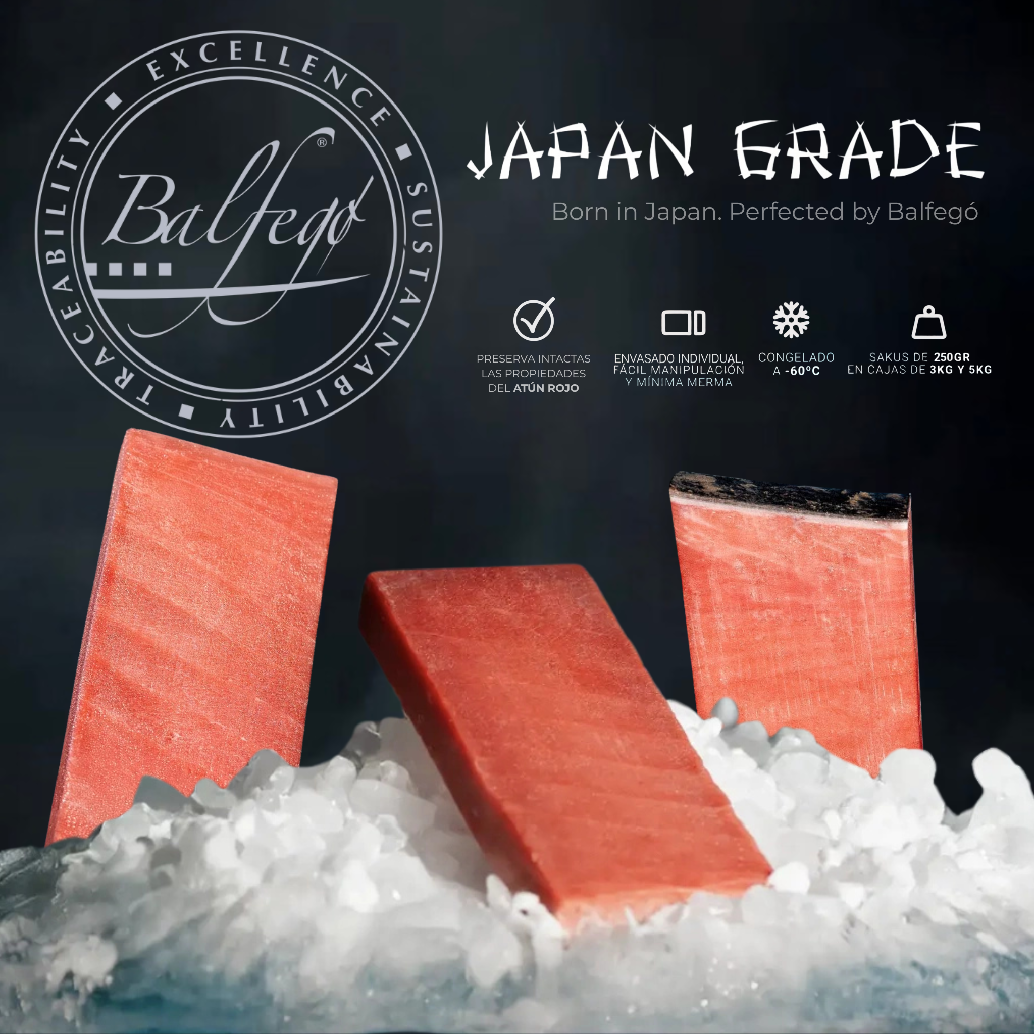 Productos destacados octubre 2025 (1)